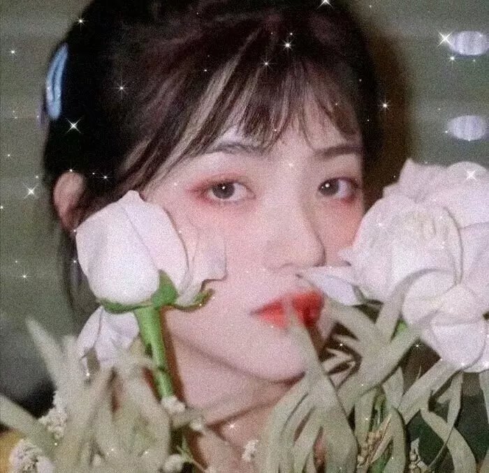 机智的公主殿下