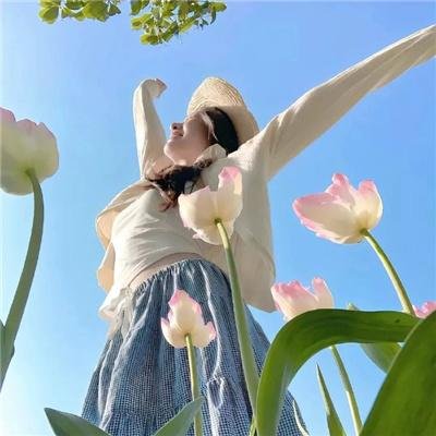 铁胆神枪